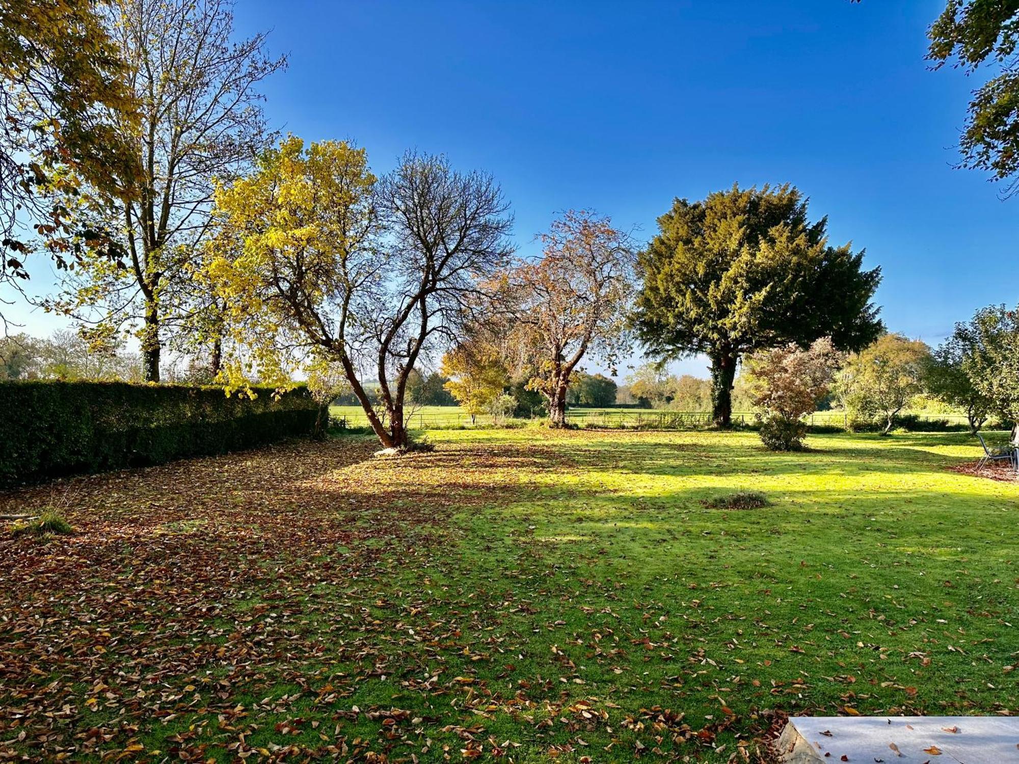 Octon Cottages Luxury 1 And 2 Bedroom Cottages 1 Mile From Taunton Centre Exterior foto